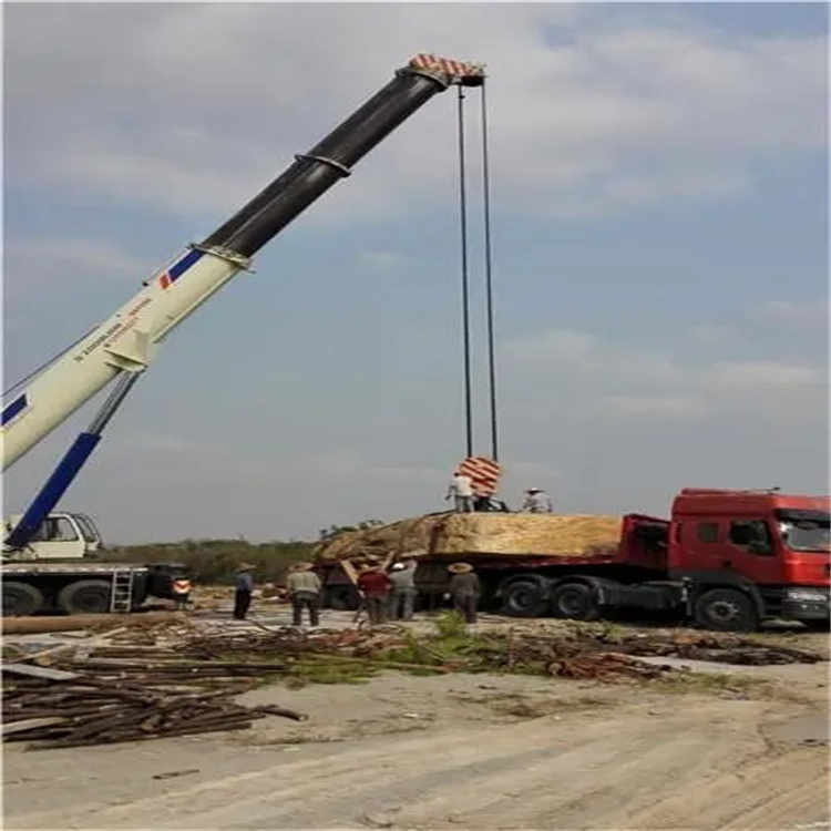 武邑重型设备吊装